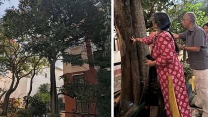 bengaluru haralur residents emotional farewell to 20 year old tree