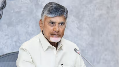 Andhra Pradesh Chief Minister Chandrababu Naidu (File Photo/ANI)