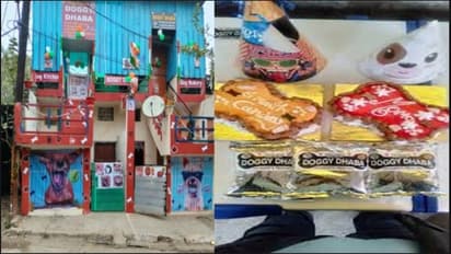 डॉगी ढाबा