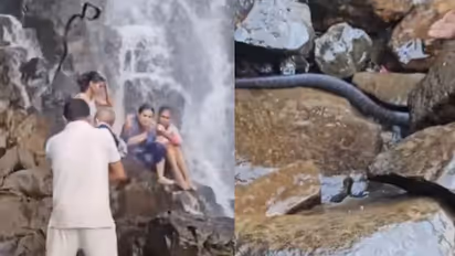 amboli waterfall snake fall