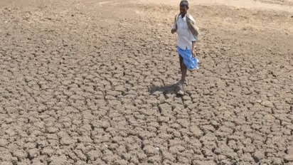 Farmer crop damage compensation 