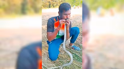 Wildlife rescuer gives CPR to save snake