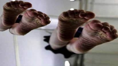 Seven people of the same family committed suicide in jumped into the canal