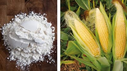 How to make corn flour from Makka