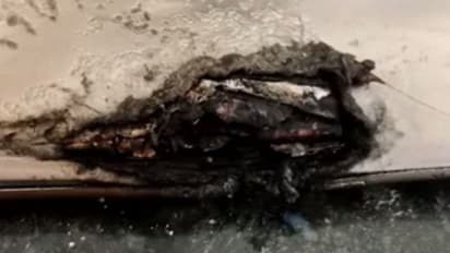 shocking crime stories