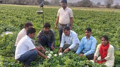 unique success story