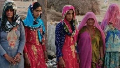 shocking crime stories