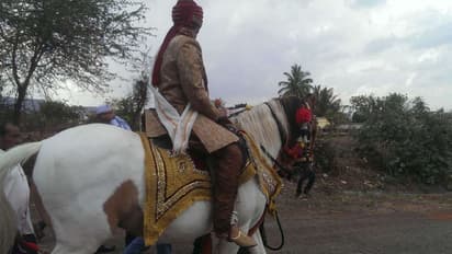 chittorgarh news Two mares were burnt alive with Two people before the procession of grooms