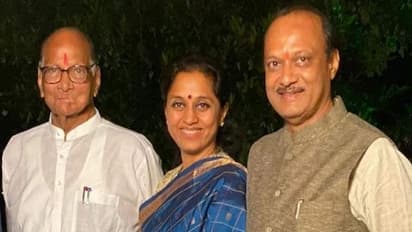 sharad pawar resign ncp chief post 