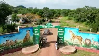 Ranthambore National Park