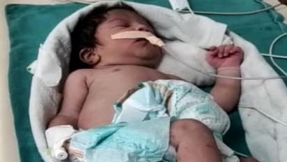 shocking crime stories