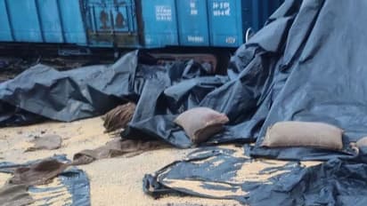 biporjoy cyclone updates Heavy rain in Rajasthan