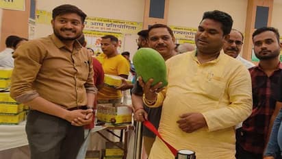 Mango Festival raipur