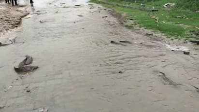 Monsoon Activities Heavy rain