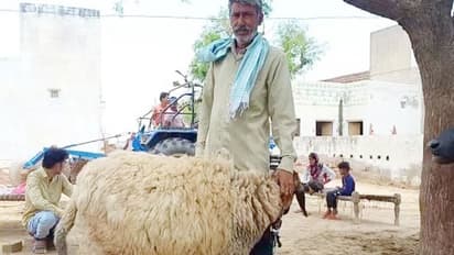   bakra eid mubarak 
