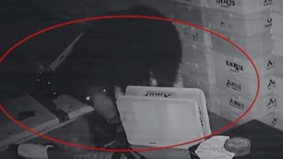 interesting and unique news in rajasthan