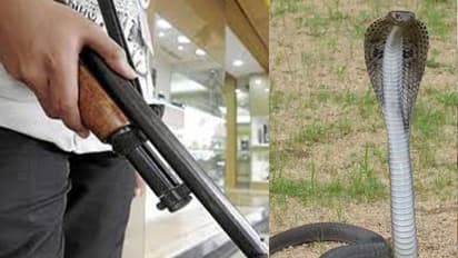 Strange case from Bundi Rajasthan 