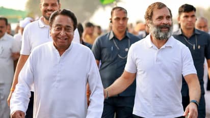 madhya pradesh assembly election 2023