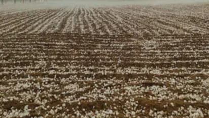 rajasthan weather changed 