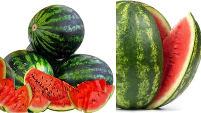 Watermelon 7 Health Benefits Nutrition and Facts
