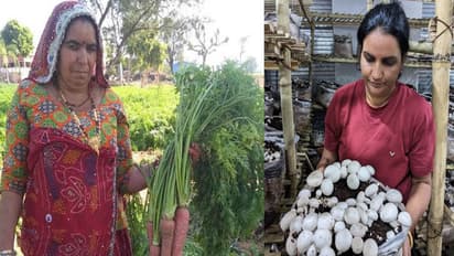 Special Story of Women Farmers This Women Day 2024 IN Rajasthan