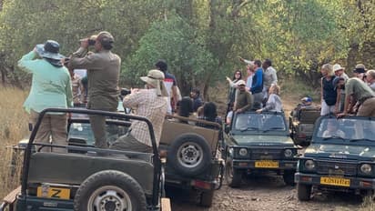 Ranthambore National Park