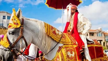 unique guidelines regarding groom