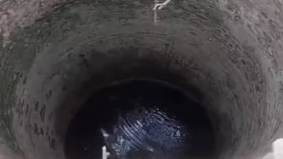 Miracle happened in Rajasthan