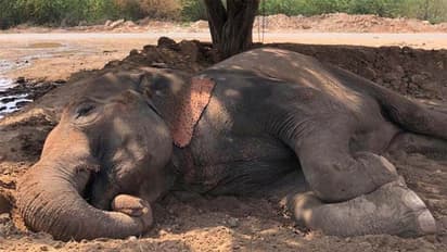 Today temperature in Rajasthan