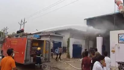 Alwar pharmaceutical factory