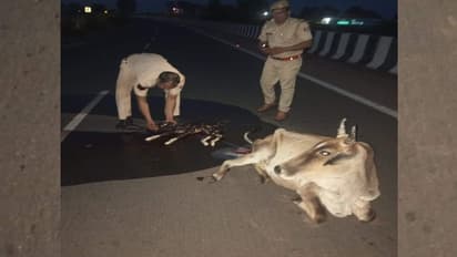 Rajasthan Police
