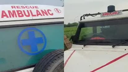 dausa police capture cow smuggling in ambulance