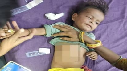 Rajasthan Crime News