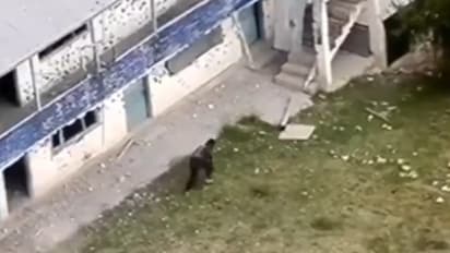 Security forces Shot Dead Terrorist