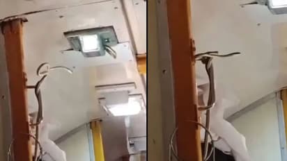 garib rath express train