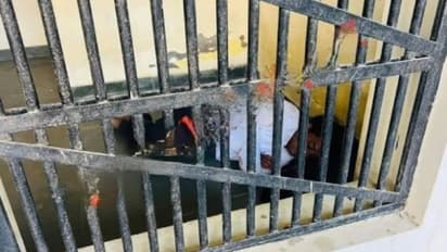 tonk news naresh meena slapped sdm case