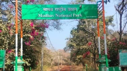 Madhav National Park Shivpuri