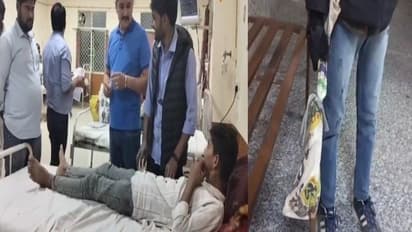 A 16-year-old minor was bitten by a cobra snake