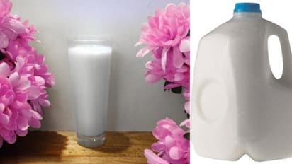 Biological Park of Jaipur