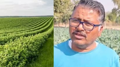 Success story of farmer