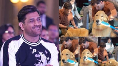 MS DHONI VIRAL VIDEO