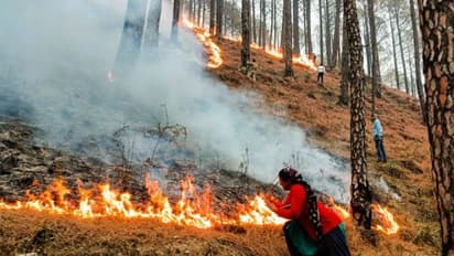 challenge of forest fire