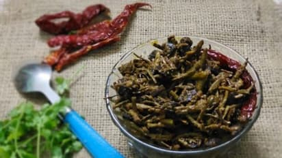 Rajasthan famous Kair Sangri vegetable