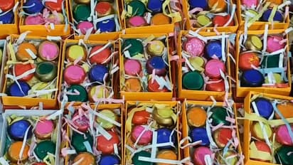 holi celebration with gulal gota