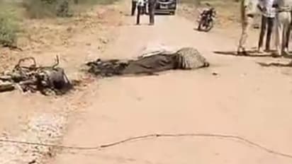 shocking nagaur news