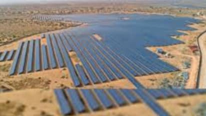 World Earth Day 2025