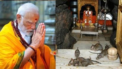 story behind karni mata mandir 