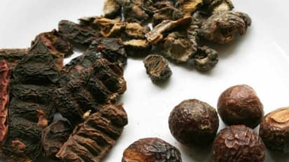 Use these 5 natural cleanser instead of shampoo 