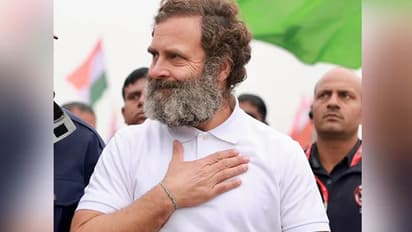 RAHUL GANDHI MARRIAGE