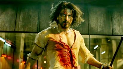 Shah Rukh Khan Pathaan Day 2 Collection